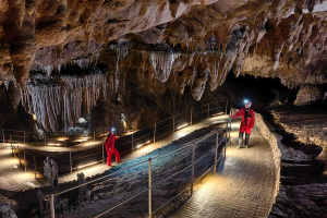 peter gedei huawei mate 50 pro